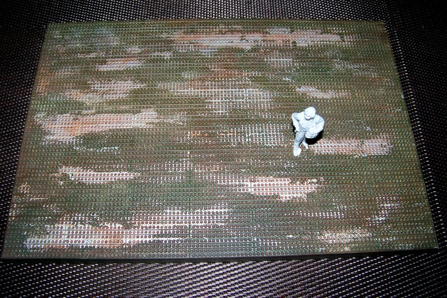 1/48 P47 D " RAZORBACK " Picauville juillet 44 Tamiya - Page 2 100_3413