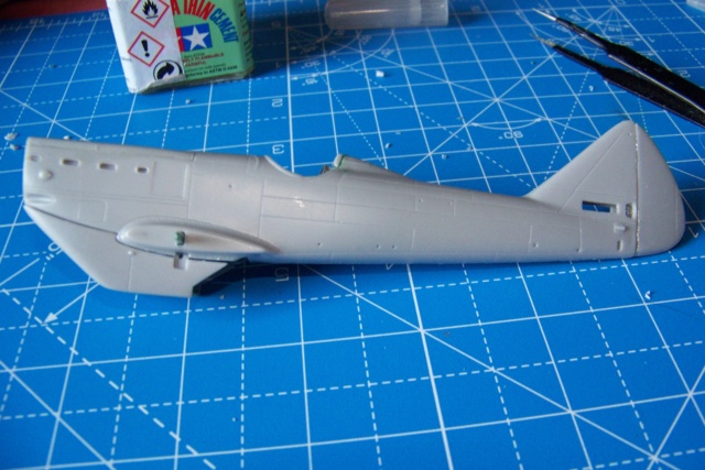 1/48 Dewoitine D.510 C1 GC II/8 1938 AMG 100_4645