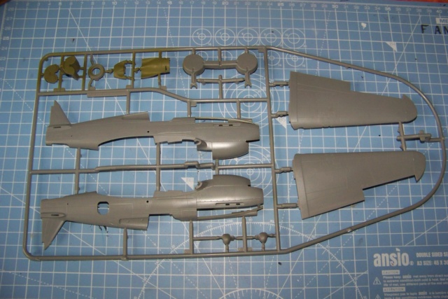1/48 Curtiss H81A1(P40A) Airfix Fini 100_5053