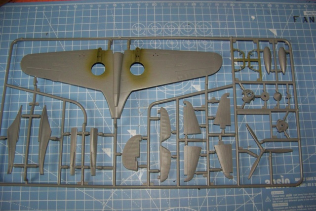 1/48 Curtiss H81A1(P40A)   Airfix  Fini 100_5055