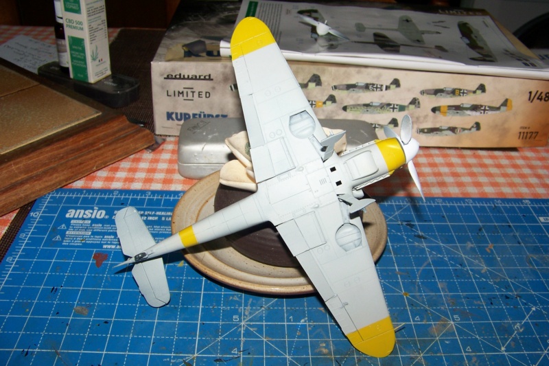 1/48 Bf109G-6As Eduard  - Page 2 100_5586