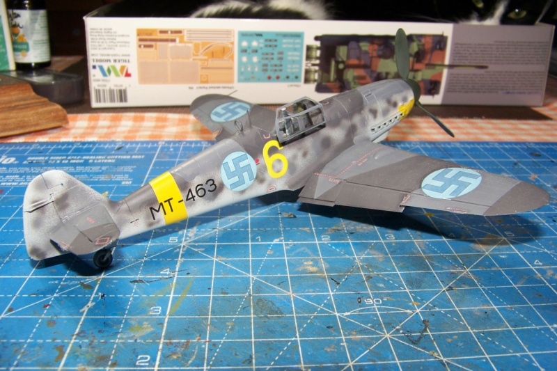 1/48 Bf109G-6As Eduard  - Page 3 100_5948
