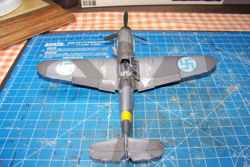 1/48 Bf109G-6As Eduard  - Page 3 100_5950