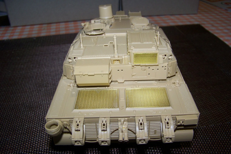 1/35 Leclerc SXXI T10/T11 Tiger Model  - Page 2 100_5984