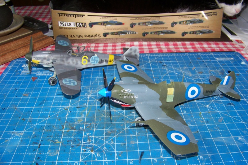 1/48 Bf109G-6As Eduard  - Page 4 100_6088