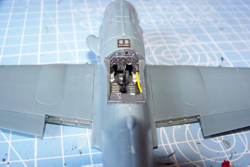 1/48 Me 109 G10 R.O.A Eduard (Fini) 100_6244
