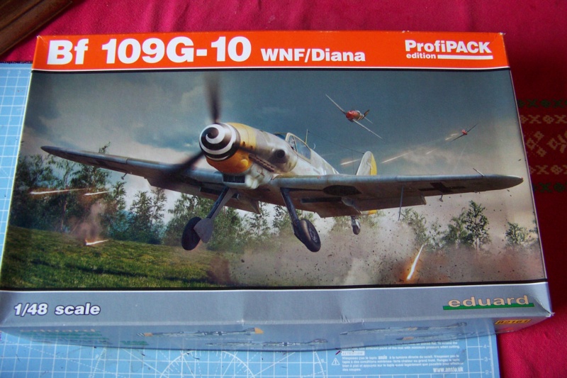 1/48 Me 109 G10 R.O.A  Eduard  (Fini) 100_6246