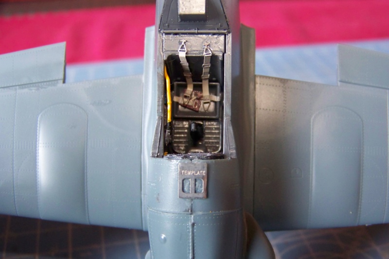 1/48 Me 109 G10 R.O.A Eduard (Fini) 100_6247
