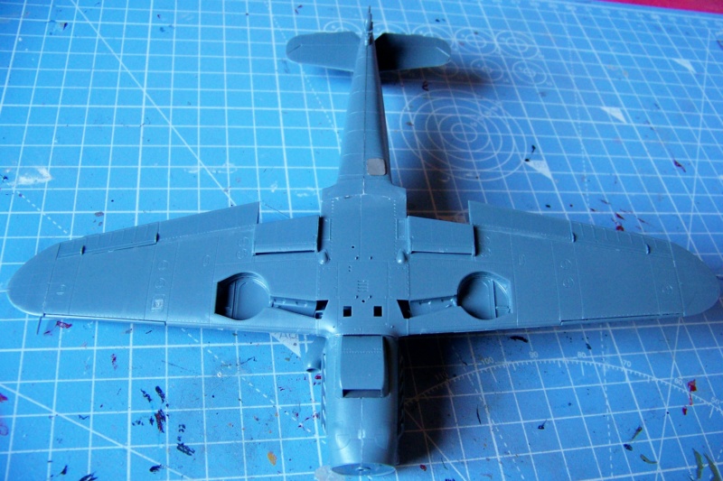 1/48 Me 109 G10 R.O.A  Eduard  (Fini) 100_6250