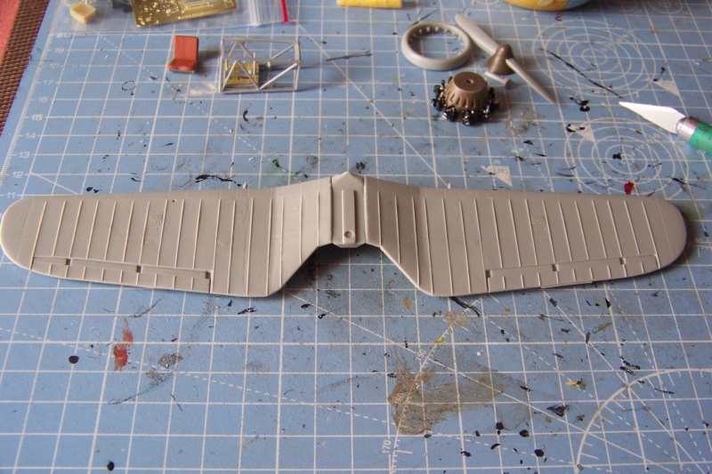 1/48 PZL P-11c: 121 Eskadra Mysliwska, III/2 Pulk Lotniczy 1/48 (Mirage)Fil Rouge 2020 Terminé en pg 4 100_7738