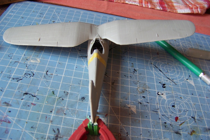1/48 PZL P-11c: 121 Eskadra Mysliwska, III/2 Pulk Lotniczy 1/48 (Mirage)Fil Rouge 2020 Terminé en pg 4 100_7752