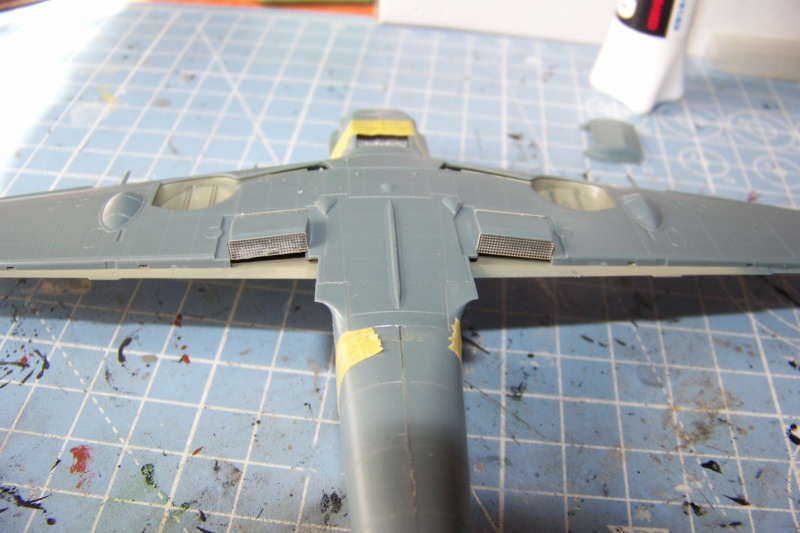 1/48i Bf 109 E3a Eduard Fini - Page 2 100_8275