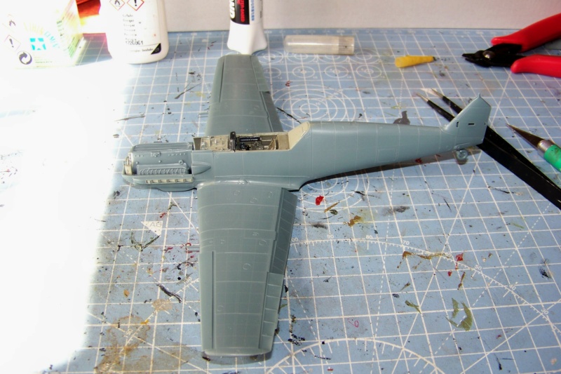 1/48i Bf 109 E3a Eduard Fini - Page 2 100_8278