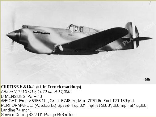 1/48 Curtiss H81A1(P40A) Airfix Fini French10