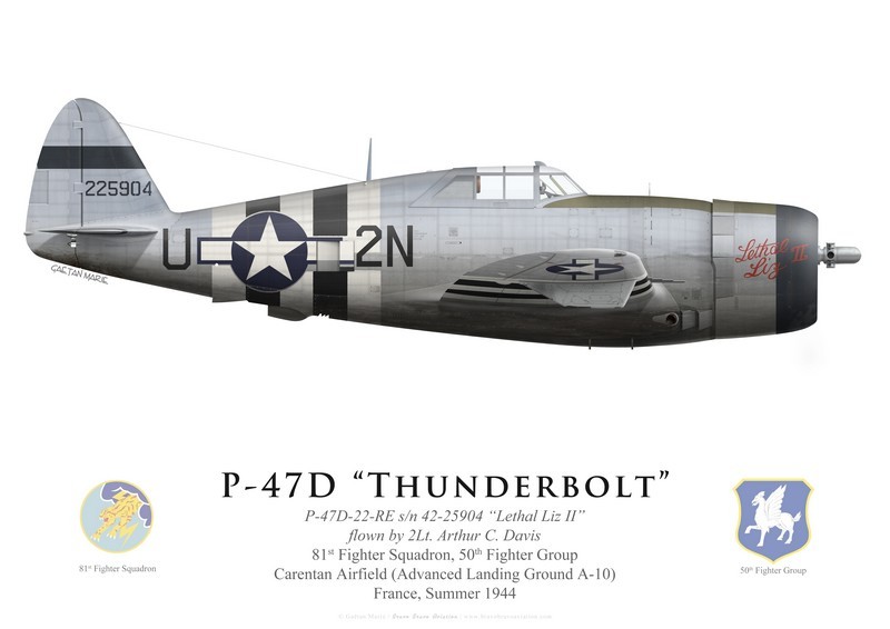 *1/48 Republic P-47 D22 50th FG 81st FS Catz(ALG A10) Juin 44 ( Tamiya 1/48 )FINI P-47d-11