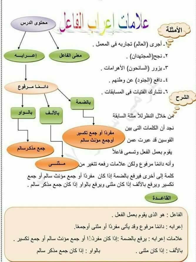 علامات إعراب الفاعل 1510