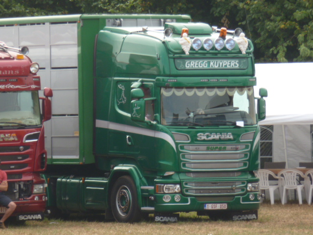 Scania R500, R580 - Page 17 P1030354