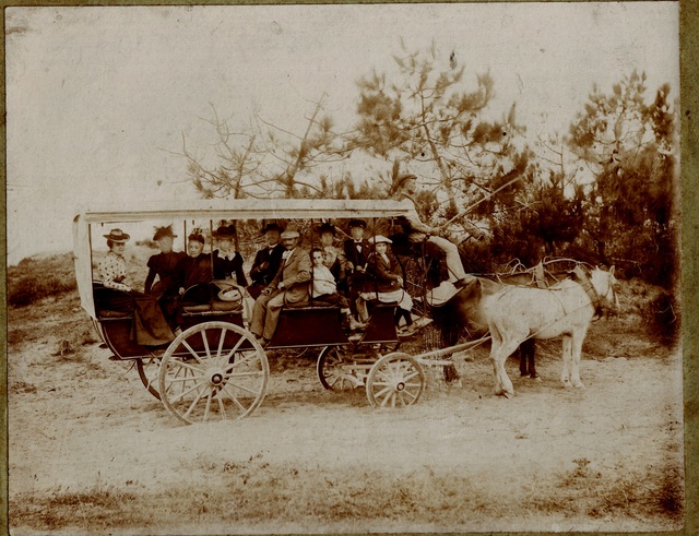 Un attelage  de vacanciers en calèche wagonnette vers 1900   Calech12