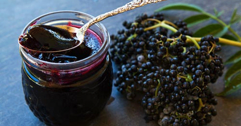 Elderberry Elderb10
