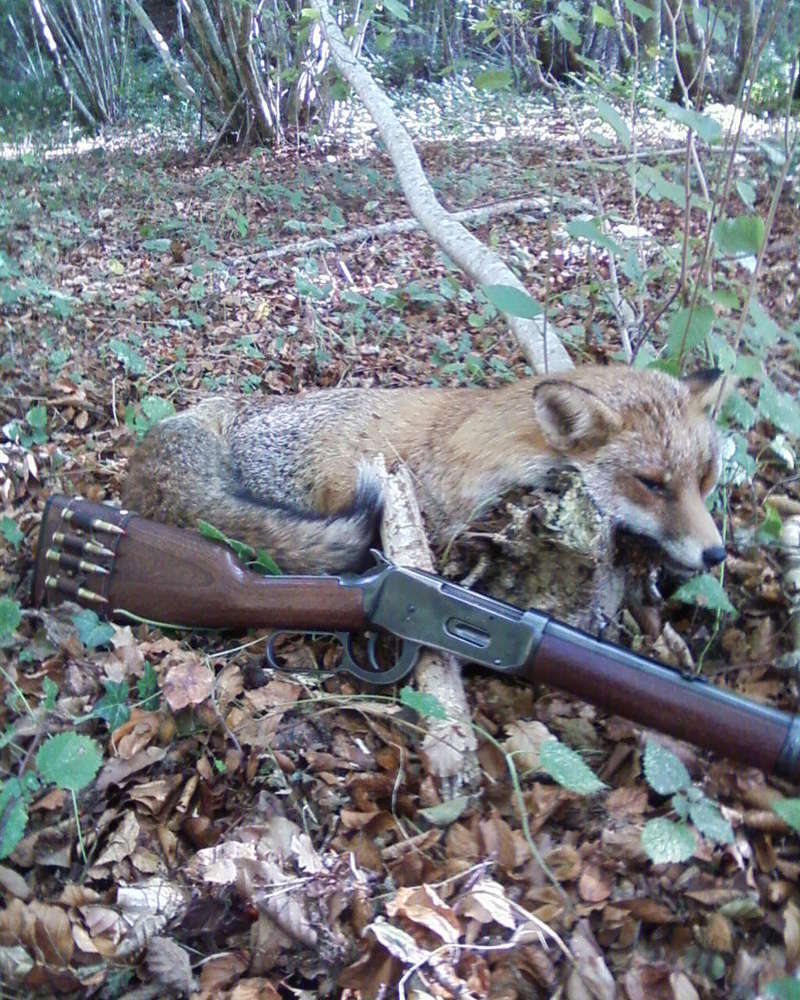 OUVERTURE DE LA CHASSE 9_octo10