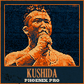 PHOENIX Pro : Lightweight Division (-220 lbs) Kushid11