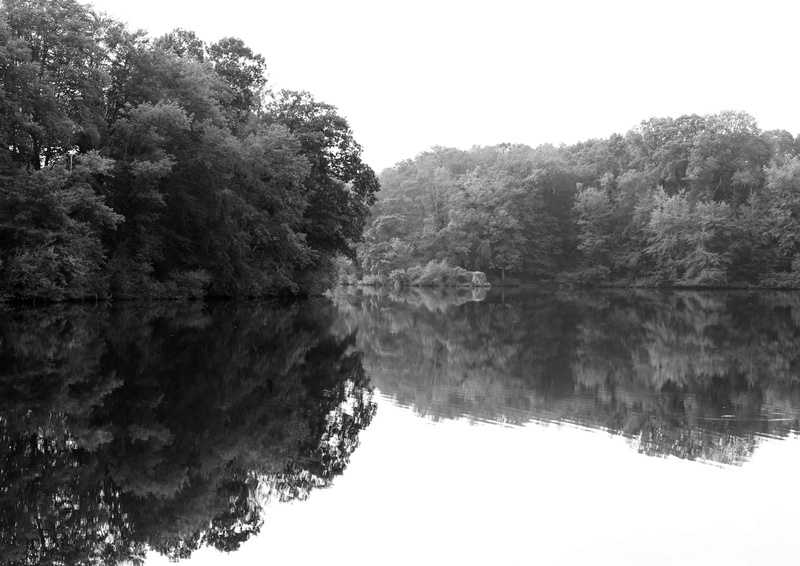 Reflets de berges  Sans_t11