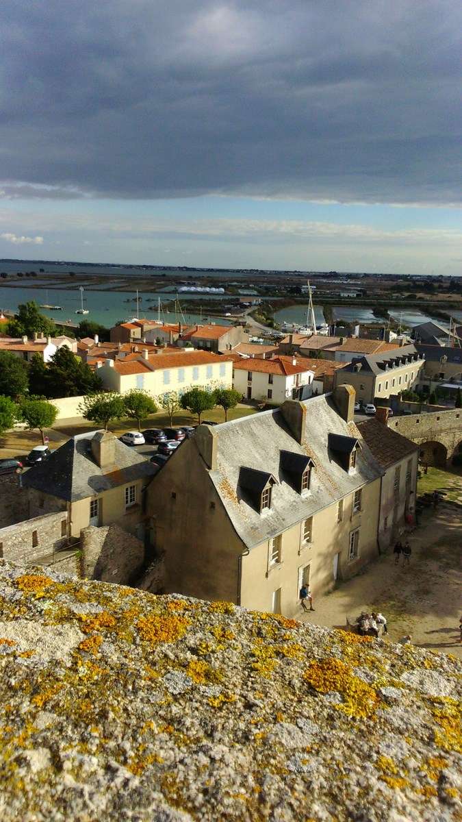CR sortie Noirmoutier Dsc_0418