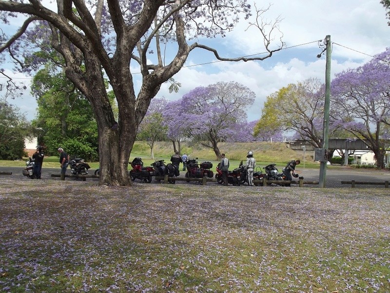 Northern Tablelands Ride 2016 - Page 2 Tablel17