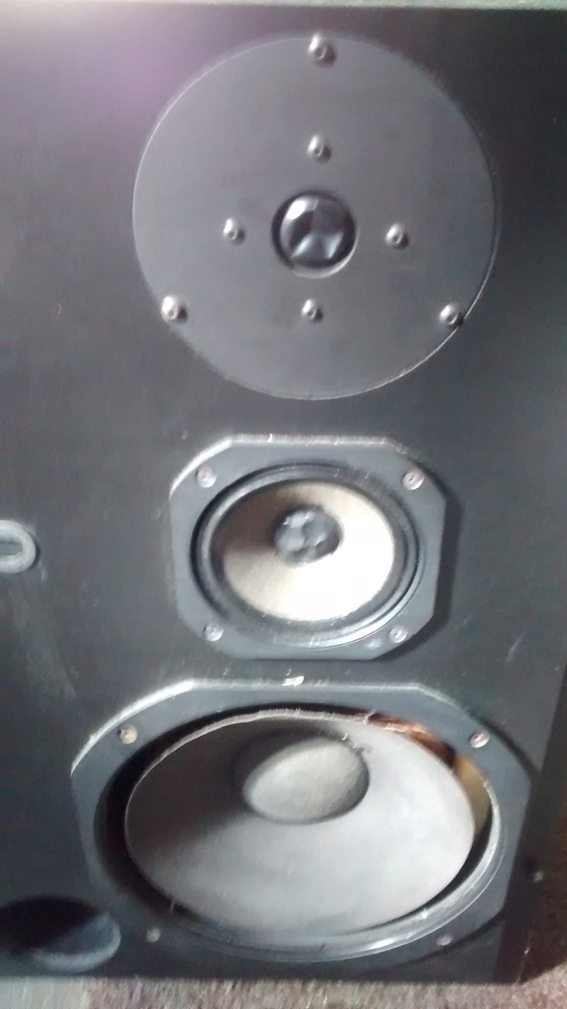 achat ou pas JBL L110 Img_2014
