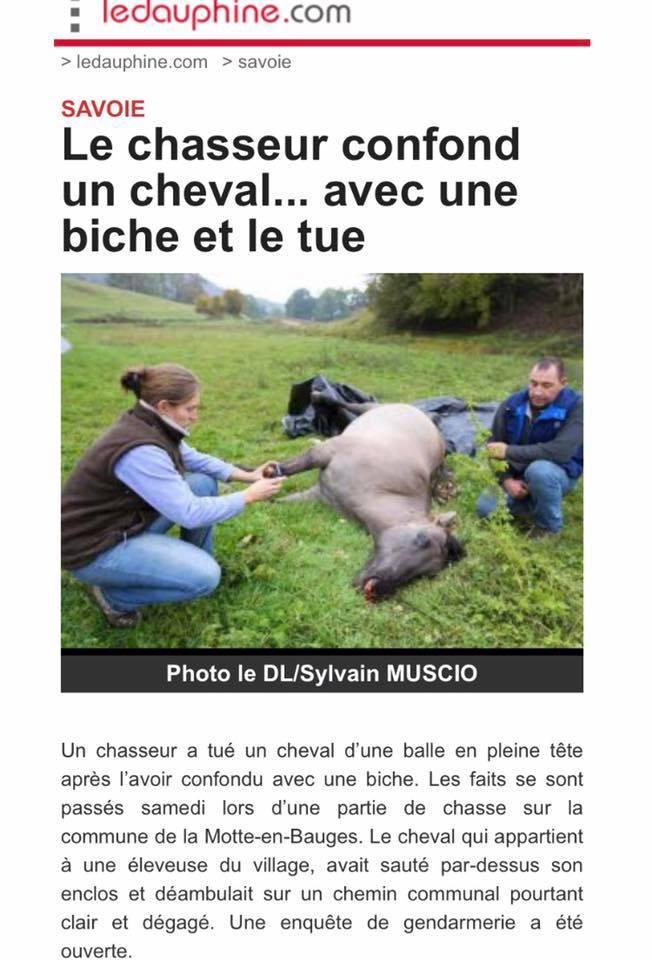 Nouvel accident - Page 5 14716310