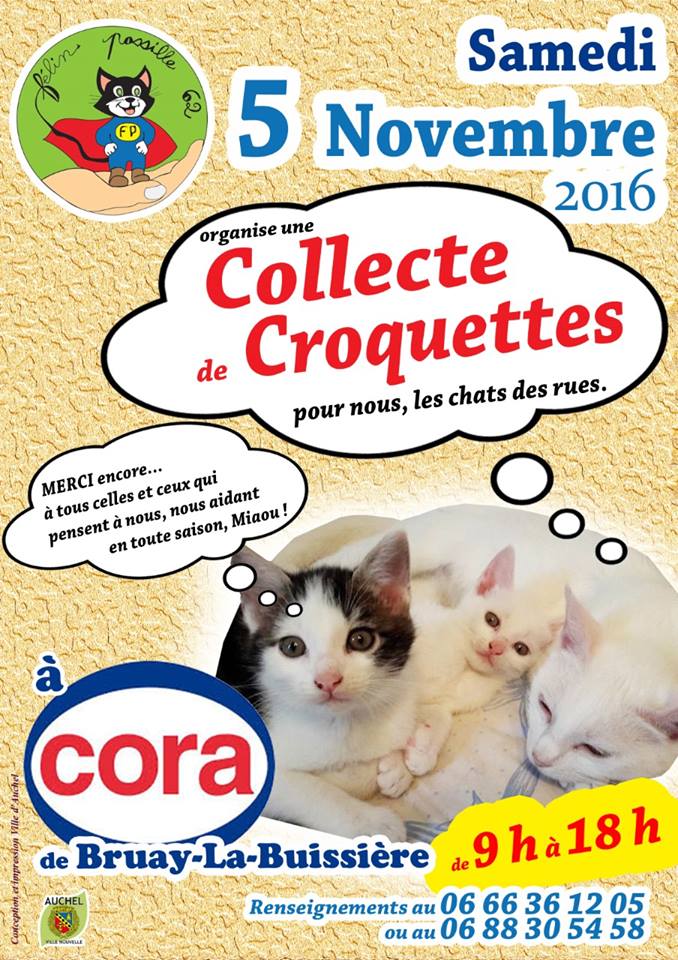 Collecte de croquettes le 5 novembre à Bruay la Buissière 14358810