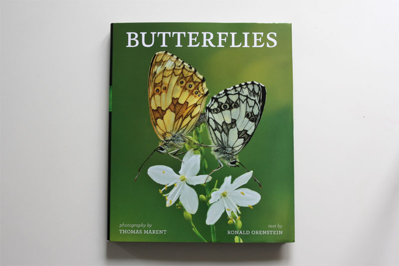 Butterflies - Thomas MARENT Livre10