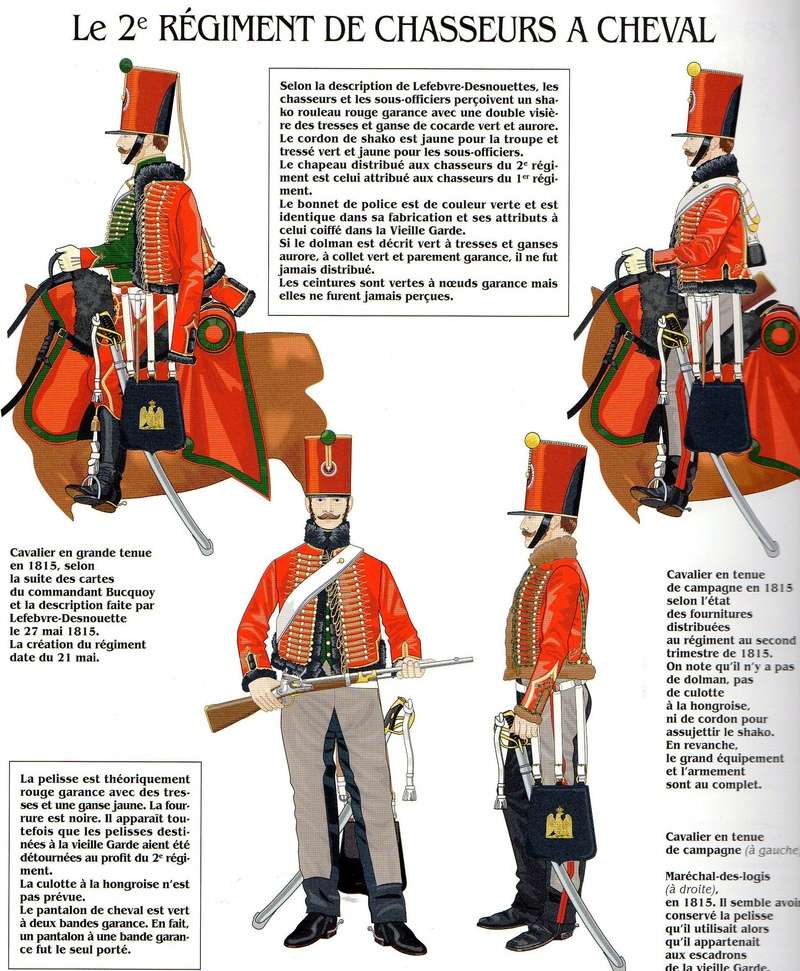 Chasseur à Cheval 2ème régiment Jeune Garde 1814-1815 Img03711