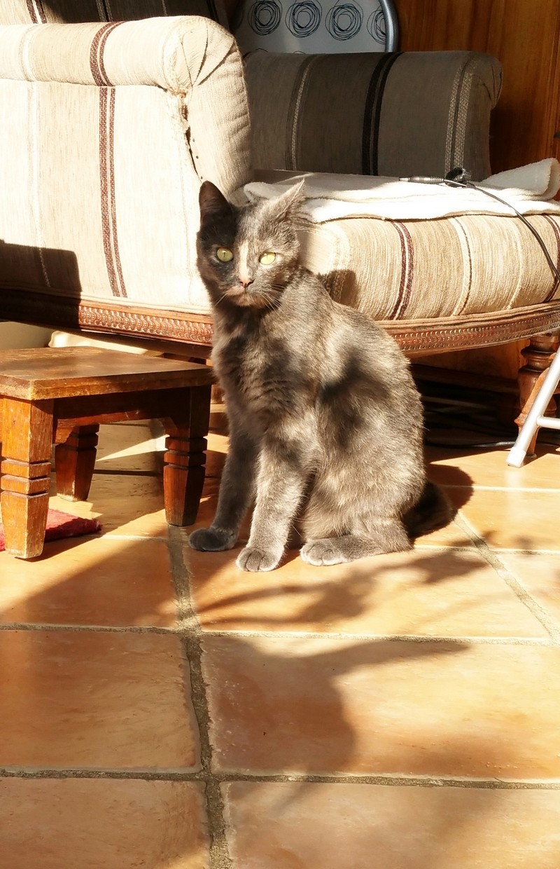 GREY 20161023