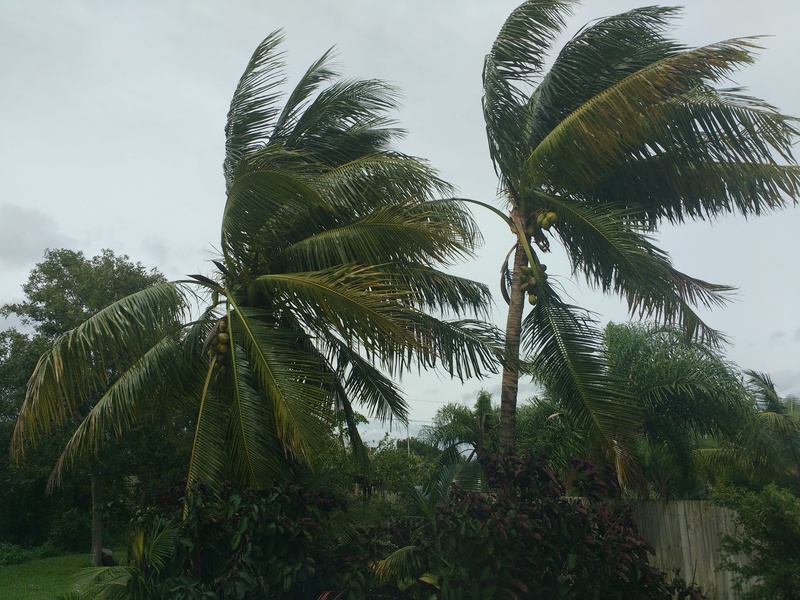 Hurricane Matthew Coconu10