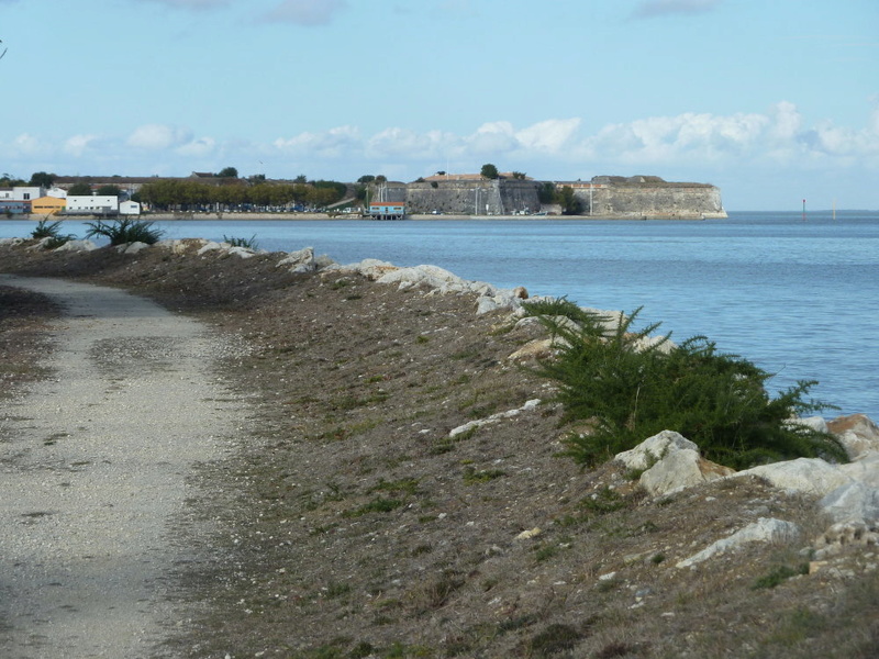 île d'Oléron en Octobre Retour12