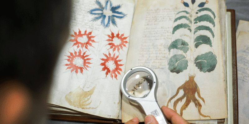 Le manuscrit de Voynich, publié par les éditions Siloë Le-mys10