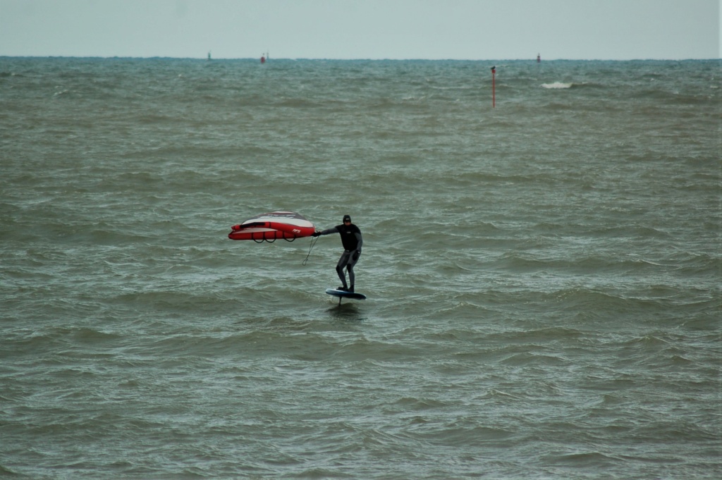 Un vendredi dans la Baie, c'est ..... Dsc_7346