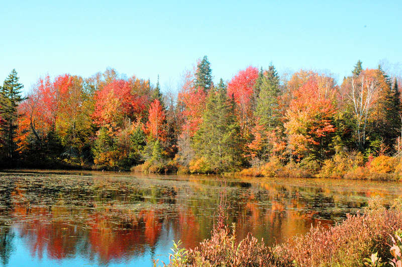 Automne québécois Automn15