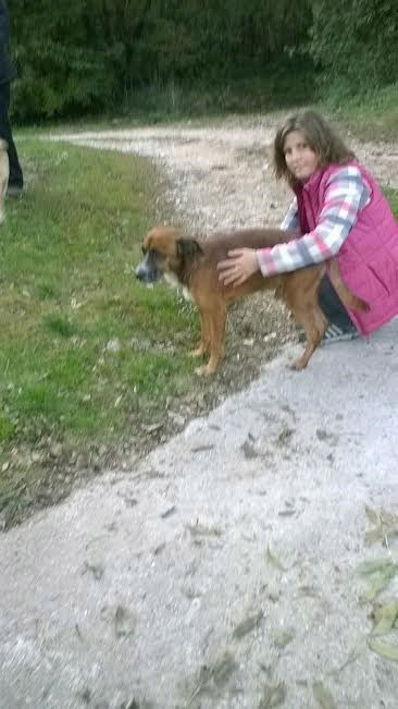 Dany ratier charbonné male 4 ans de Béthune -  Refuge de Jouvence à Messigny (21) 11