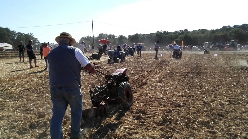 Thiviers 2016 en dordogne  20160935