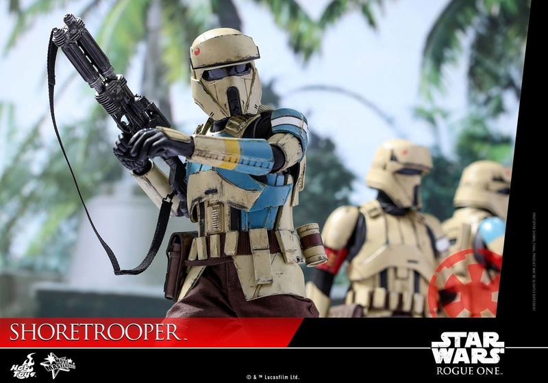 Star Wars Rogue One : 1/6 Shoretrooper (Hot Toys)  X1616