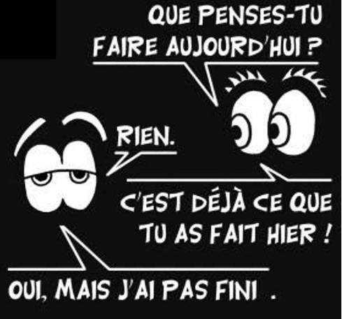 HUMOUR - blagues - Page 13 14721610