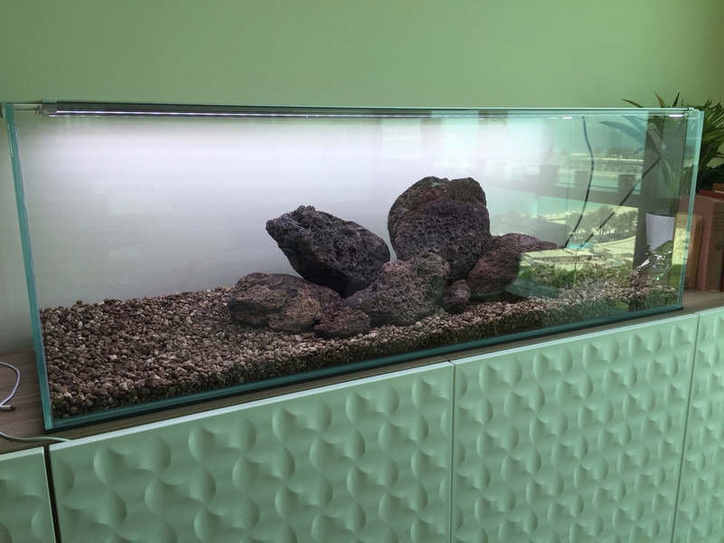 Lancement Aquascaping 170L Img_0515