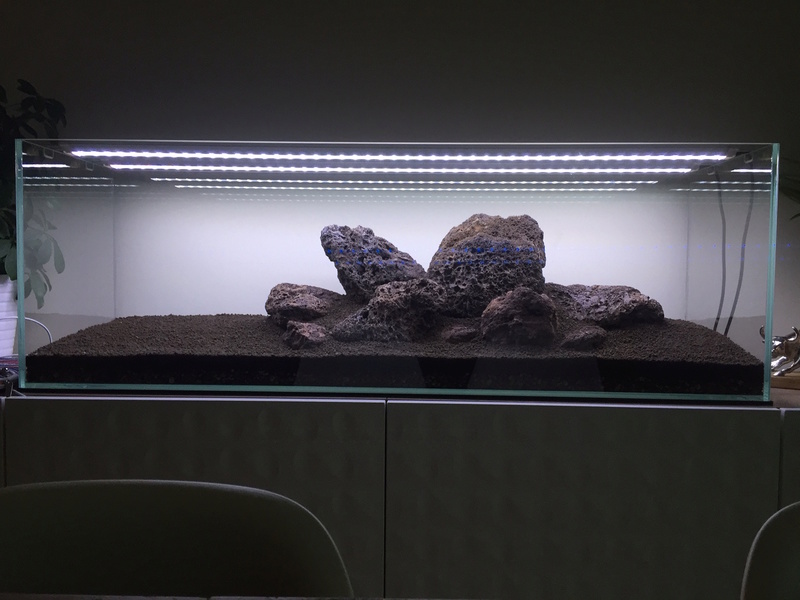 Lancement Aquascaping 170L Img_0520