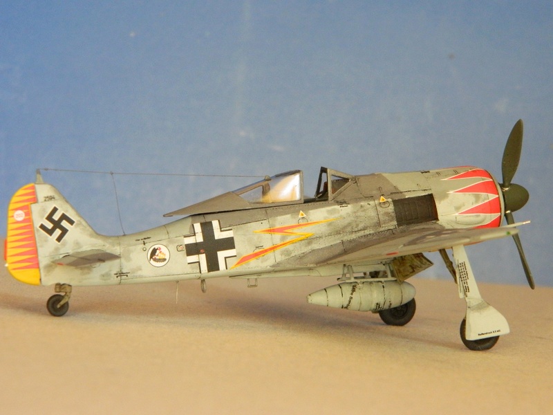 [EDUARD] Focke-Wulf Fw 190 A-5 (ProfiPACK edition) Dscn4537