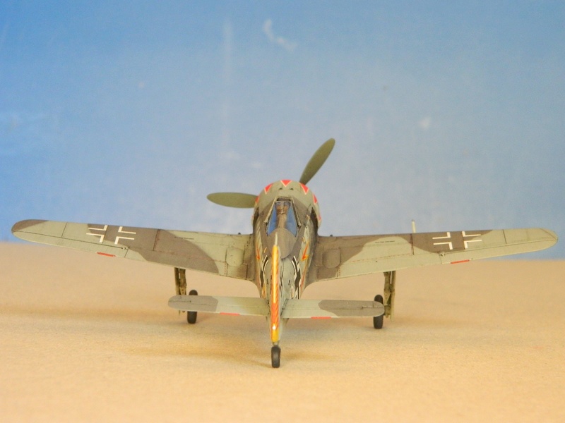 [EDUARD] Focke-Wulf Fw 190 A-5 (ProfiPACK edition) Dscn4540