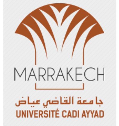 باحثون مغاربة يتدارسون قضايا المعنى وإشكالاته بمراكش Captur83