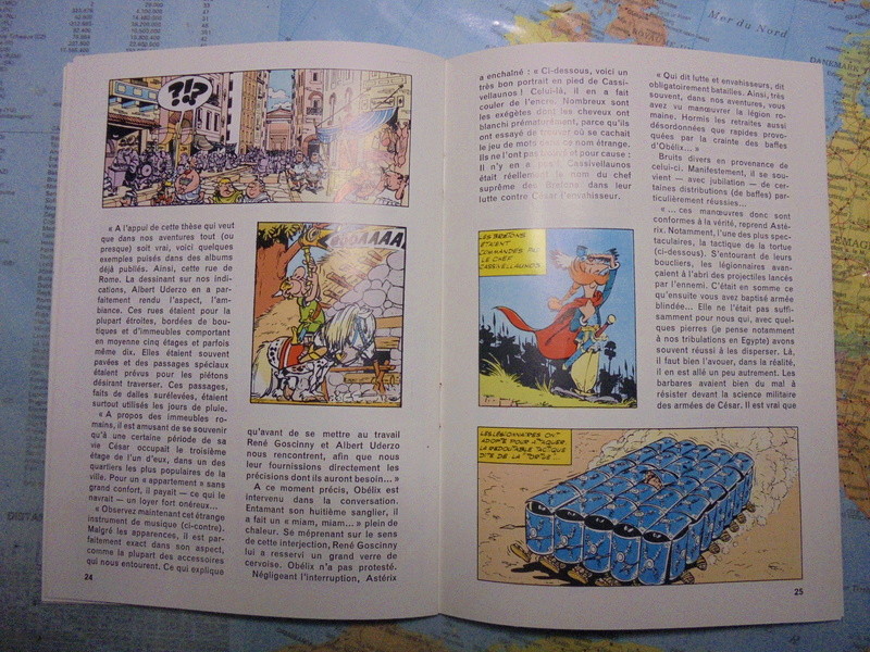  asterix échiquier - Page 26 Dsc02413
