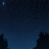 Fireflies | Flashback [Priv. Destello de Medianoche] Avatar11
